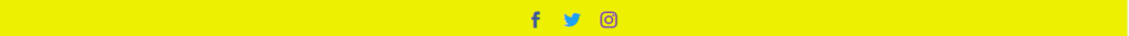 Customize divi footer social media icons