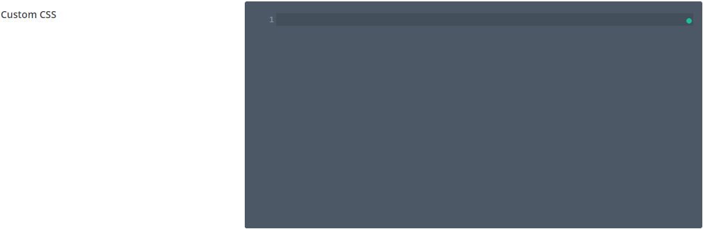Divi theme options custom css