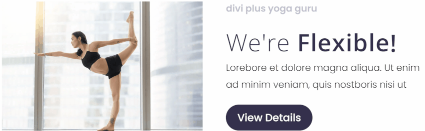 Divi text animator module