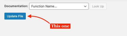 Update File button inside theme editor WordPress