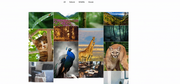 Divi plus Filterable Gallery lightbox