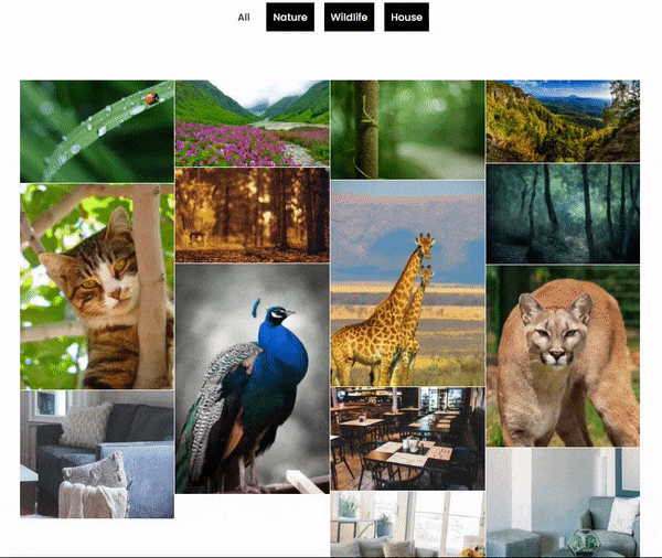 Divi plus Filterable Gallery with categories
